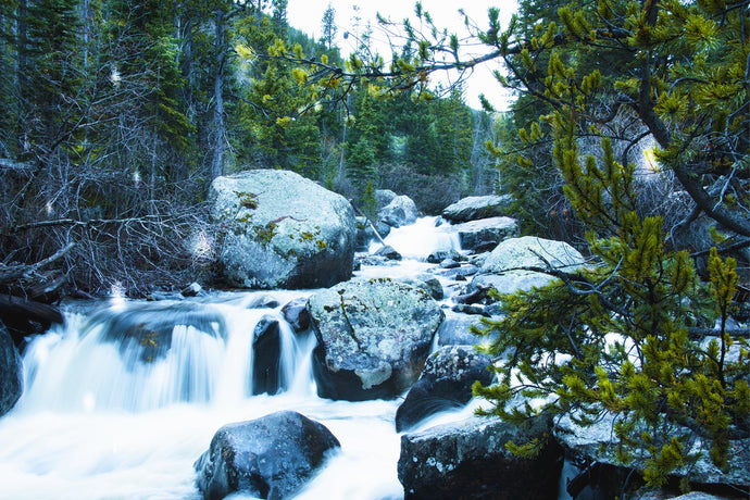 Wild Basin Waterfalls: Rocky Mountain National Park